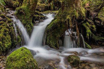 A Creek Runs Through It