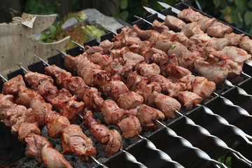  Meat fried on the grill / Meat is grilled