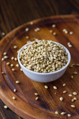 Coriander seeds spice