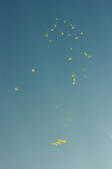 many bright baloons flying in the blue sky