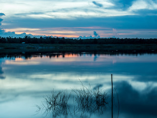 twilight at the pond