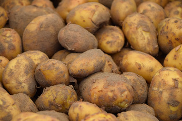 Heap of new potato at retail display close up
