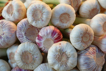 Fresh garlic bulbs sale on retail market display