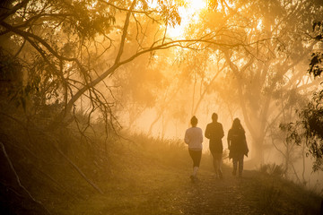 Friends Hiking