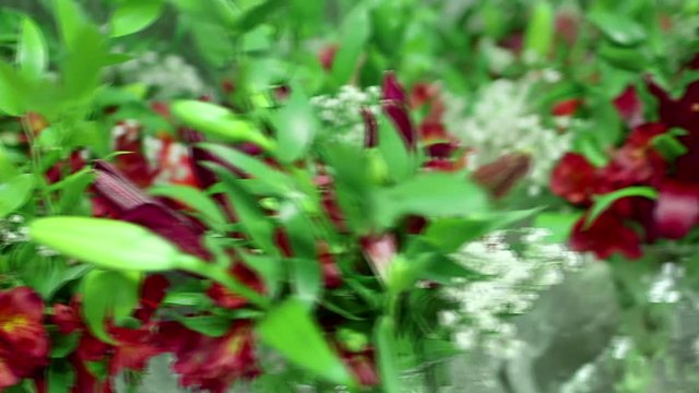 Vases with red flowers