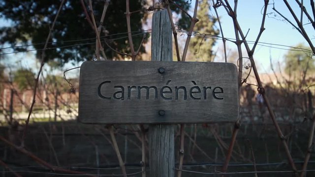 Carmenere sign