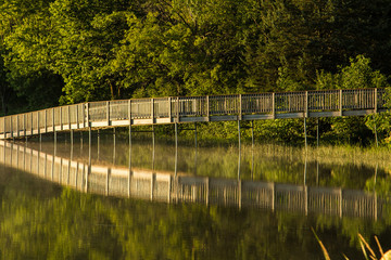 Golden reflected bridge