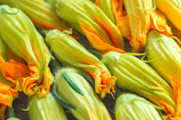 Background  with  pumpkin flowers