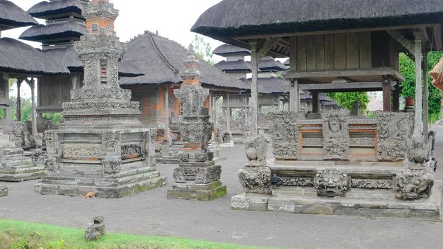 Young Kitten Visting a Royal Hindu Temple in Bali, Indonesia