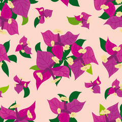 Seamless vector pattern retro styled, tropical flowers, buganvillea