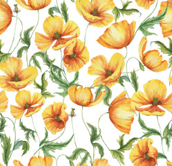 Hand-drawn watercolor floral seamless pattern with the yellow poppy flowers on the white background in vintage style. Natural and vibrant repeated print for textile, wallpaper. Wild blossom