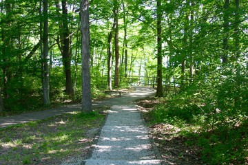 The gravel path down to the forest.