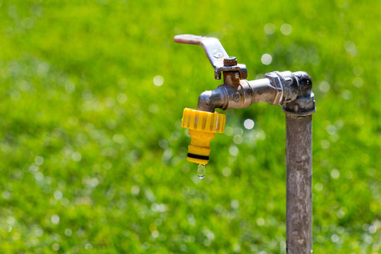 Tap With Water Drops In The Garden With Green Fresh Grass.