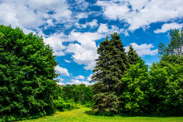 Obraz premium Clouds