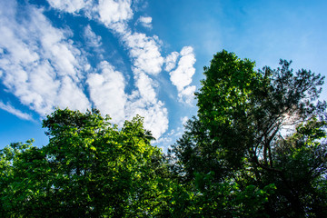 Obraz premium Clouds