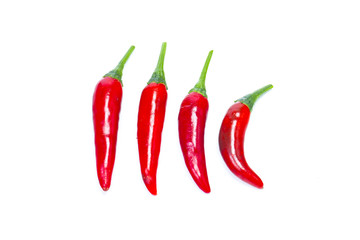 chili pepper isolated