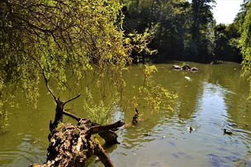 See mit Enten