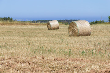Hay pile in a farm field in Porto Covo