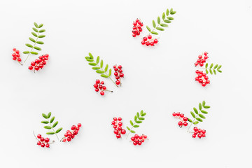 Berry ornament. Red currant and leaves on white background top view