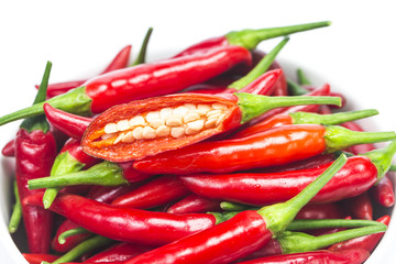 chili pepper isolated