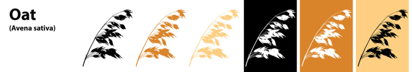 Oats vector different colors