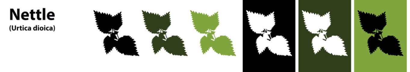 nettle leaves vector different colors