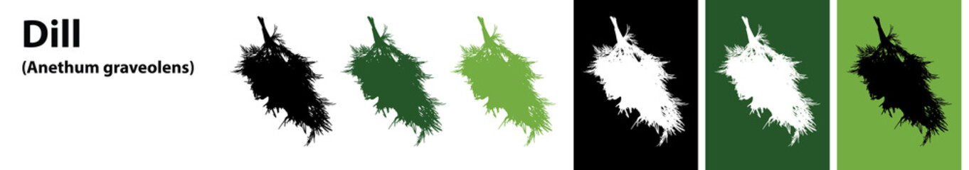 Dill leaves vector different colors