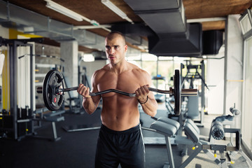 Fototapeta na wymiar Muscular bodybuilder workout in gym doing biceps exercises