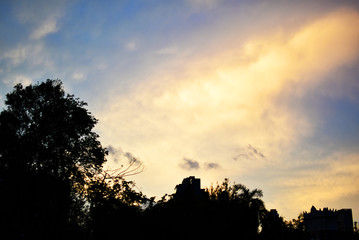 Fototapeta na wymiar Beautiful sky in the evening with top of tree
