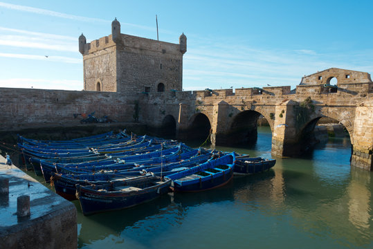 moored fisherboats at essaouira port, morocco