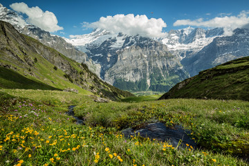 Fototapeta na wymiar Randonnée dans les Alpes Bernoises