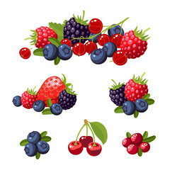 Set of colorful cartoon berries: blueberry, blackberry, cherry, raspberry, red currant, strawberry. Vector flat icon illustration, isolated on white