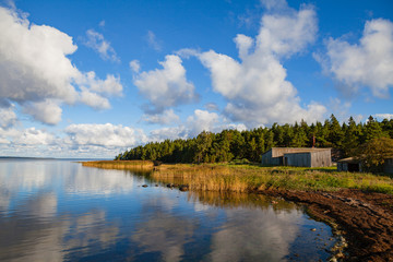 Baltic sea coast at sunset. Dramatic clouds, forest view.