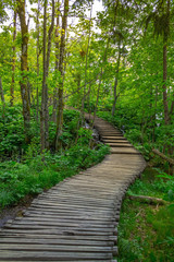 Fototapeta na wymiar Wooden path on Plitvice lakes