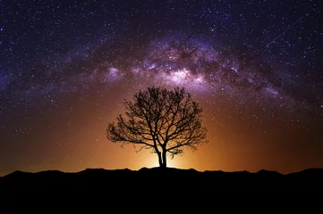 Foto op Canvas Nachtscène met Melkweg en oude boom © tawatchai1990