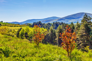 Slopes, hills and mountains around the monastery Sopocani, HDR Image.