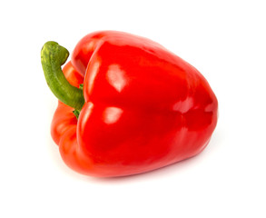 red pepper over white background