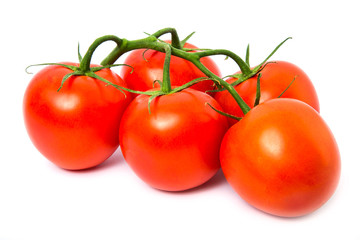 Tomato isolated on white