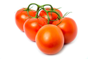 Tomato isolated on white