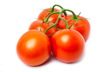 Tomato isolated on white