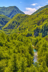 Wooded areas above the Milesevo River, HDR Image.