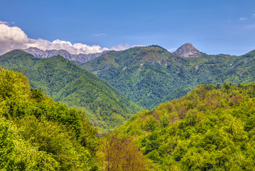 Fototapeta na wymiar The wooded hills of Montenegro and mountains in the distance, HDR Image.