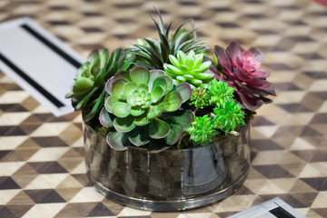 Small beautiful tree in the glass decorate on the table