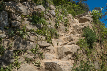 Küstenwanderweg Cinque Terre