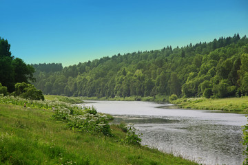 Fototapeta na wymiar Summer landscape of the Moscow River in Polushkino
