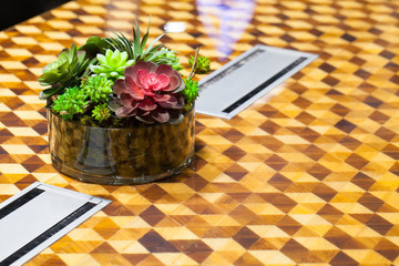 Small beautiful tree in the glass decorate on the table