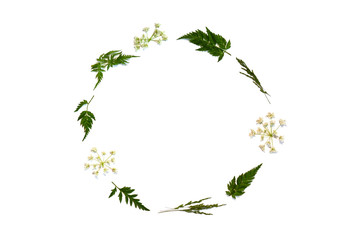 Wreath of wideflowers isolated on white background