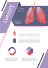 Internal human organs infographic lung