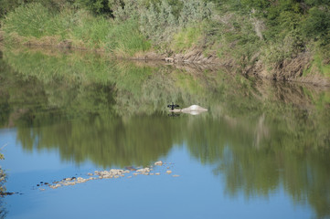 Namibia