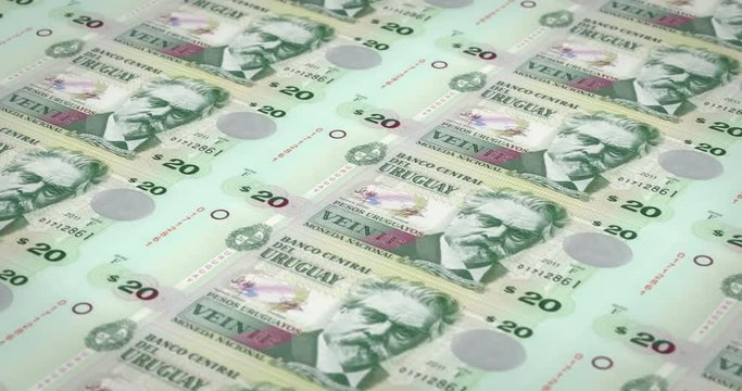 Banknotes of twenty Uruguayan peso of Uruguay, cash money, loop